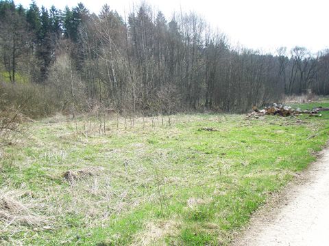 Foto 49